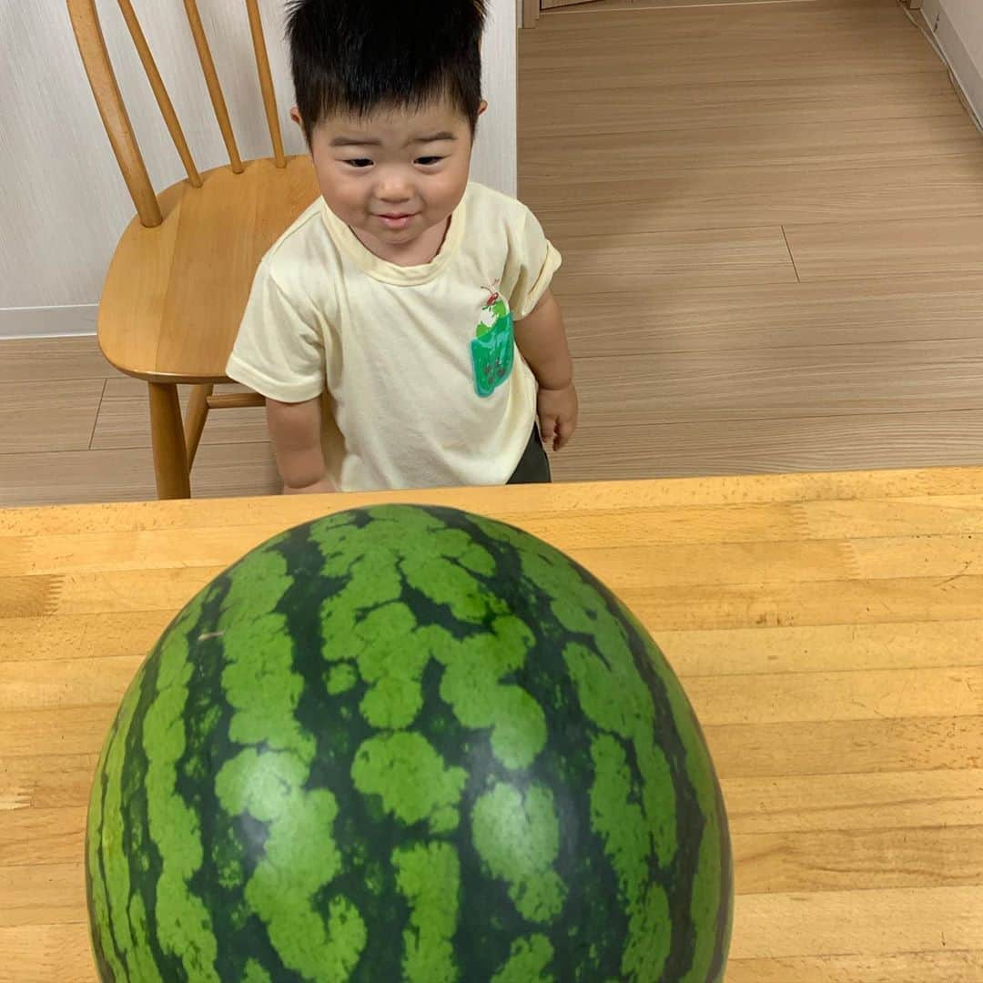 星野涼子さんのインスタグラム写真 - (星野涼子Instagram)「7/27はスイカの日だそう🍉 去年の倉吉産の極実は香りも甘さも最高だった！ 今年は尾花沢産。 来年のスイカも、息子との大きさ比べも楽しみ😊  #スイカの日　#スイカ　#倉吉　#極実　#尾花沢　#尾花沢スイカ　#1歳　#1歳7ヶ月 ＃子育て　#育児　#夏　#夏の思い出 #japan #watermelon #baby #일본 #수박 #여름 #summer」7月27日 21時38分 - ryoko.hoshino