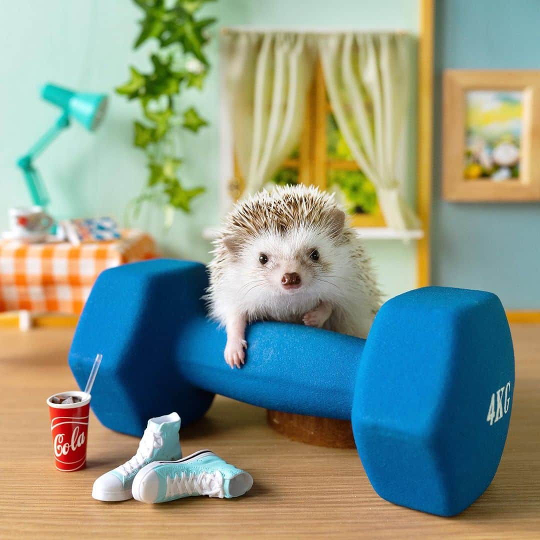 ダーシーのインスタグラム：「Let’s workout together🏋️‼️ If you want to be cool like me...😏✨」