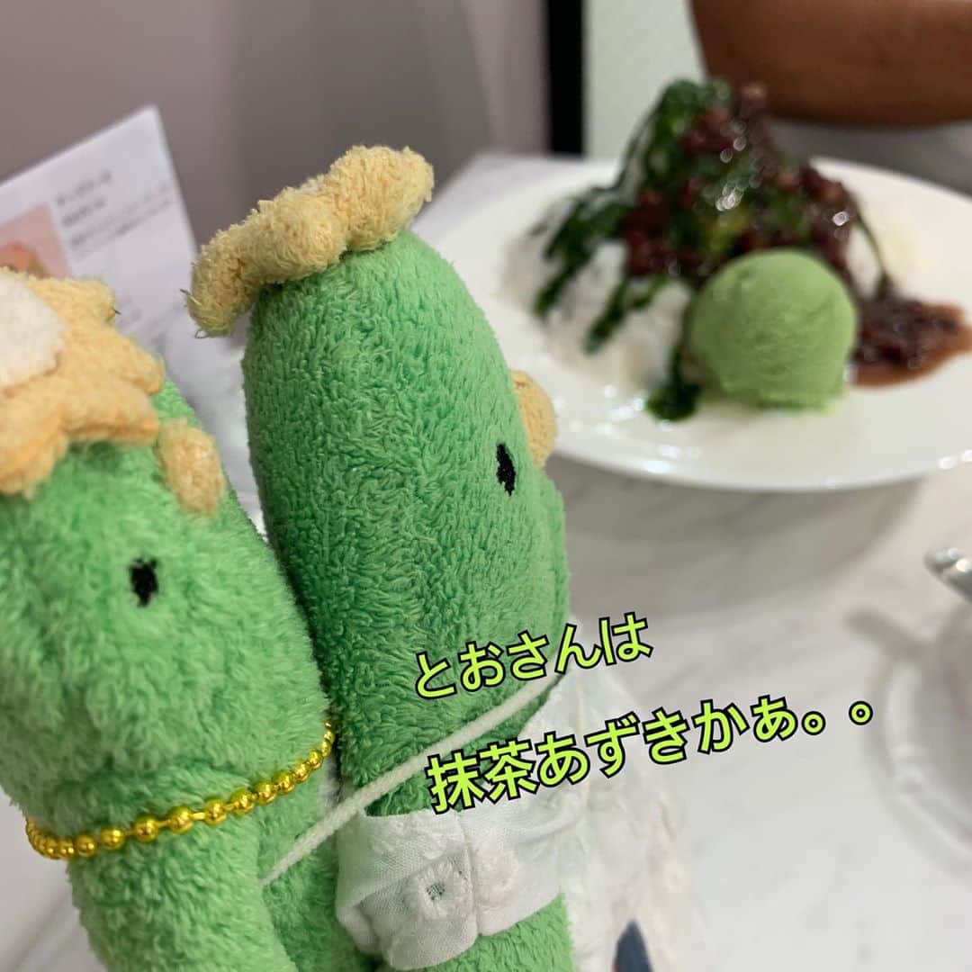 江口ともみさんのインスタグラム写真 - (江口ともみInstagram)「さらみです😊  この間とおさんかあさんがかき氷食べてたから、さらよとかあさんのいちごの食べさせてもらったよ🍧  抹茶も嫌いじゃないけど、いちごの気分だったの🍓  みんなはもうかき氷食べた？  とおさんは頭痛くなるけど、かあさんは頭痛くならないんだってー  あたちたちは痛くならなかったから、かあさんに似たらしい😊  明日はかあさんゴゴスマだって  あの番組は出るのは難しいから諦めてるけどね。。。  #fumofumosan #フモフモさん  #かぱ#かっぱ#kappa  #さらみ#さらよ #かき氷」7月27日 22時37分 - tomomin.eguchi