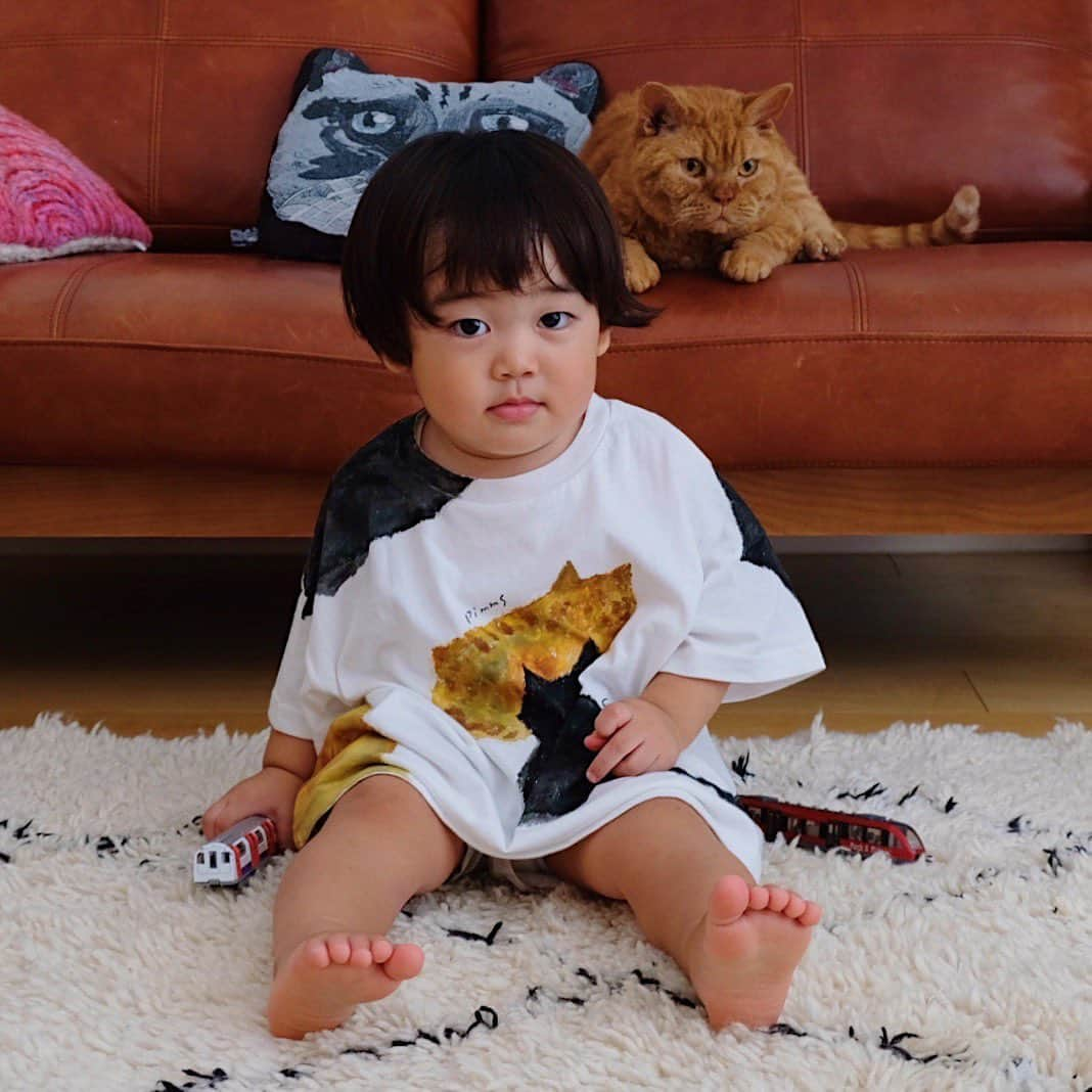 ギネス & ピムスのインスタグラム：「27/07/2020 Happy Monday! ・ Nagi wearing a big T-shirt showing his favourite brothers Guinness and Pimms👦🏻🐈🐈 Have a great week everyone! ・ ・ 大好きなギネピム兄さんが描かれた 大きいTシャツを着て ご機嫌な凪ねこと いつもセットなピム丸。笑 1年前にも ギネピムと凪くんが描かれた お洋服をプレゼントして下さった @_muutos_ さん。 今度はこんな素敵なTシャツを 作って下さいました😭 可愛すぎて 母はお揃いが欲しくてたまりません😂 ありがとうございます！！ 毎日雨が降ってジトジトしていて どんよりした気分になります。 天気くらい良くなって欲しいなあ。 それでは 今週もよろしくお願いします♬ ・ ・ #ギネピムと凪くん  #1yearold #1歳 #1歳7ヶ月 #19monthsold  #babyboy #男の子ベビー #赤ちゃんのいる生活 #赤ちゃんのいる暮らし #赤ちゃんと猫 #猫と赤ちゃん#子供服#ベビー服」