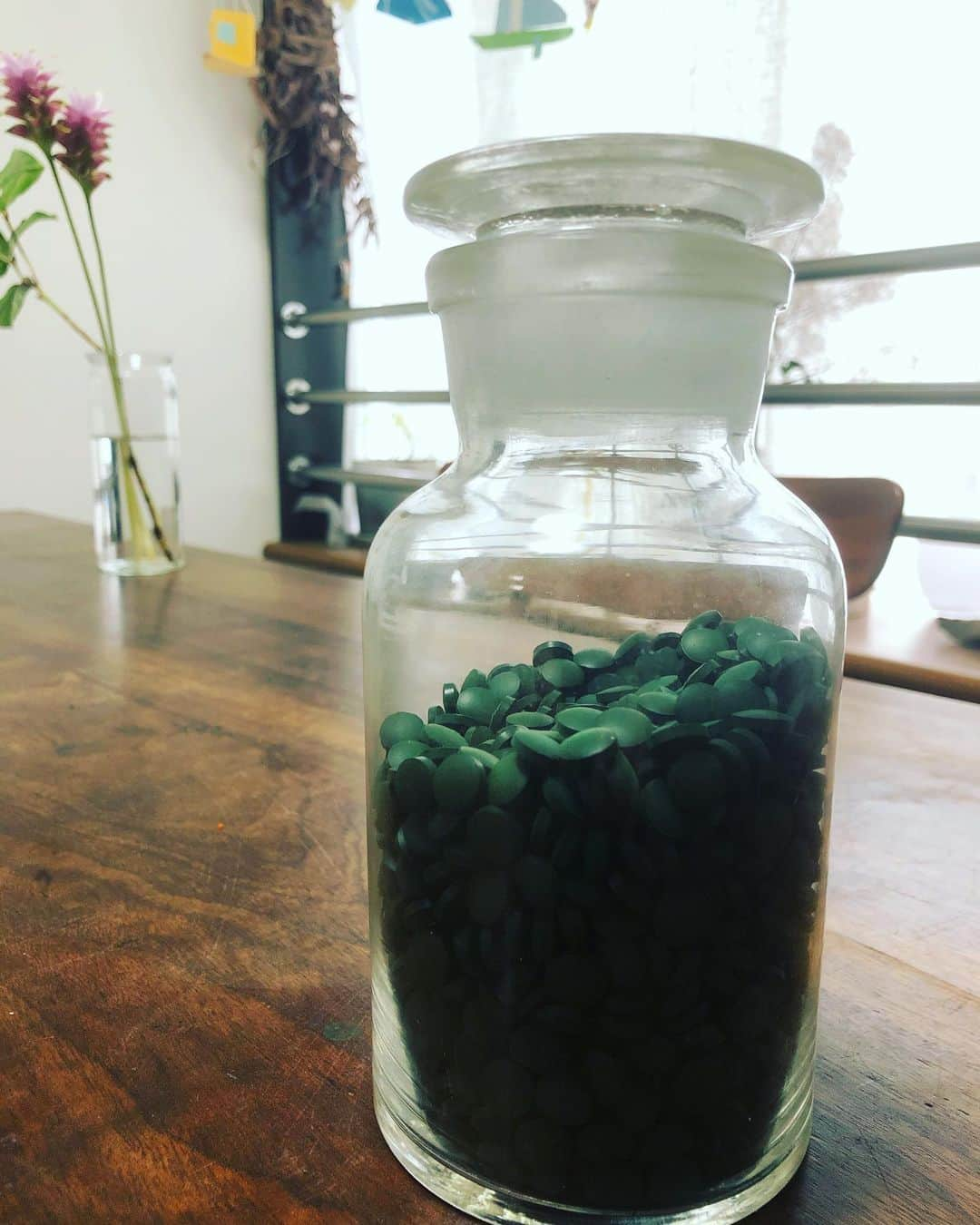 タブゾンビさんのインスタグラム写真 - (タブゾンビInstagram)「スピルリナ  #スピルリナ  #spirulina」7月27日 22時55分 - tabuzombie