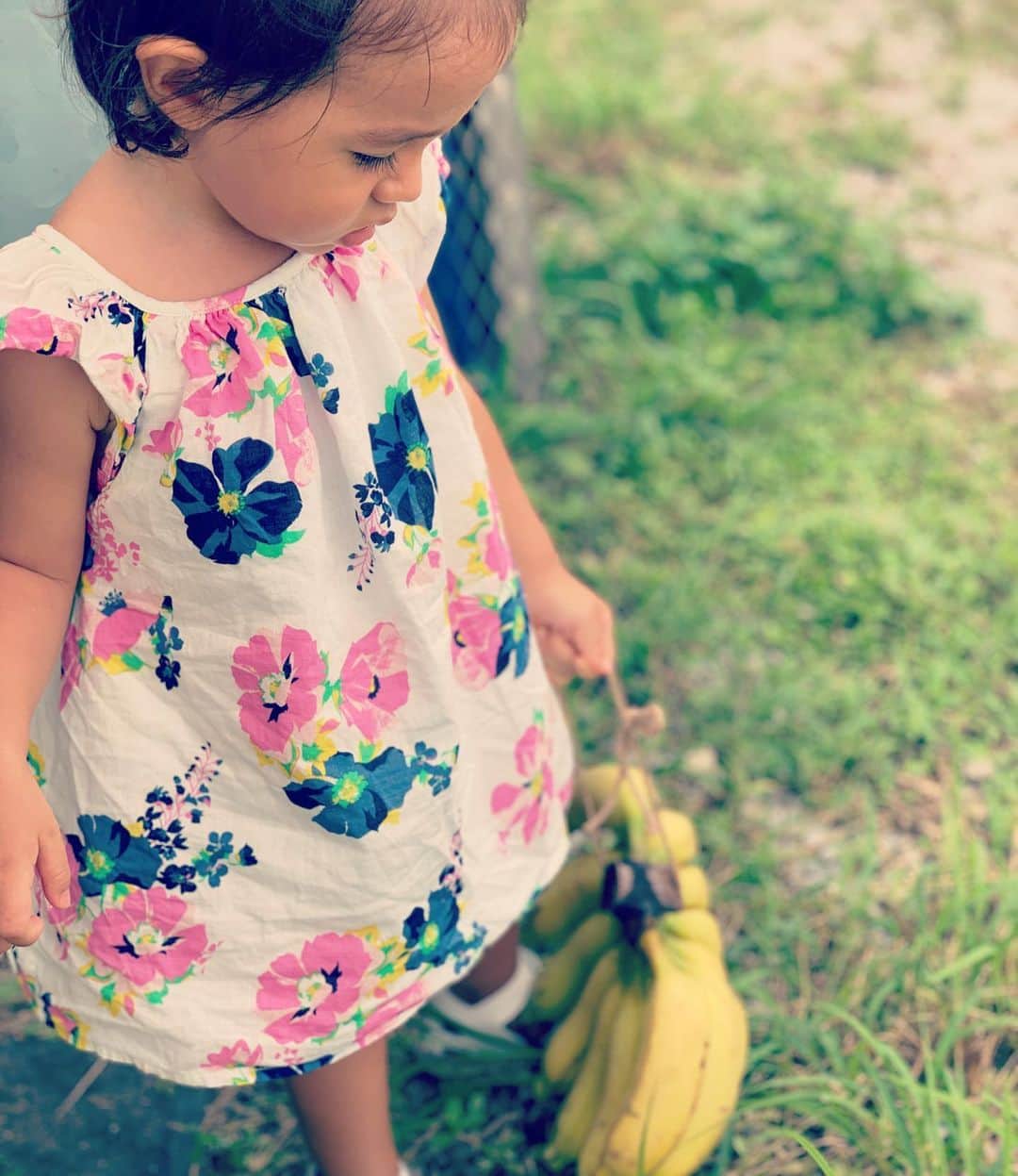 福本幸子さんのインスタグラム写真 - (福本幸子Instagram)「“ I think the best birthday present for her is a bunch of bananas “. 🤔」7月27日 23時26分 - okinawajudy