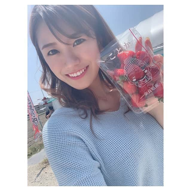 福本愛菜のインスタグラム