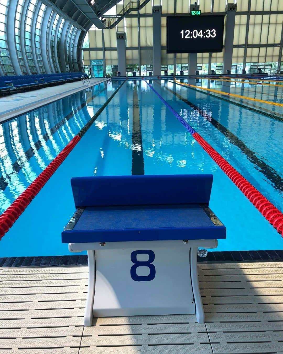 スピードさんのインスタグラム写真 - (スピードInstagram)「What's your lucky lane number?   #Speedo #DreamPool #SwimmingPool」7月28日 1時00分 - speedo