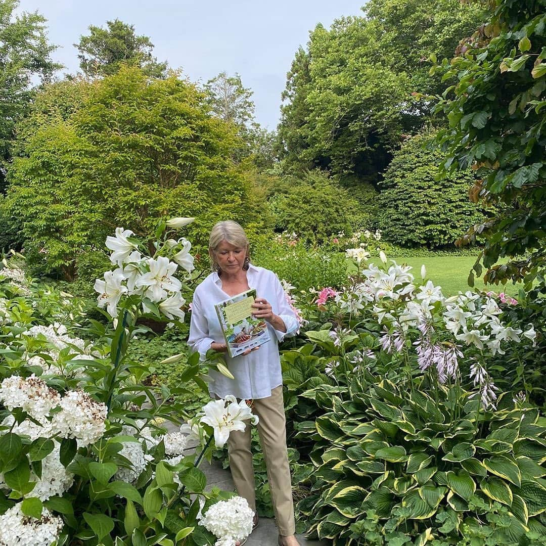 マーサ・スチュワートさんのインスタグラム写真 - (マーサ・スチュワートInstagram)「Sometimes even @marthastewart48 is surprised by the beauty sprouting in her gardens. "This is one lily that has grown in a crazy way! I counted forty five separate flowers on this one stem I have only seen this once before in Maine in my garden and that one had fifty blooms." #regram via @marthastewart48」7月28日 1時20分 - marthastewart