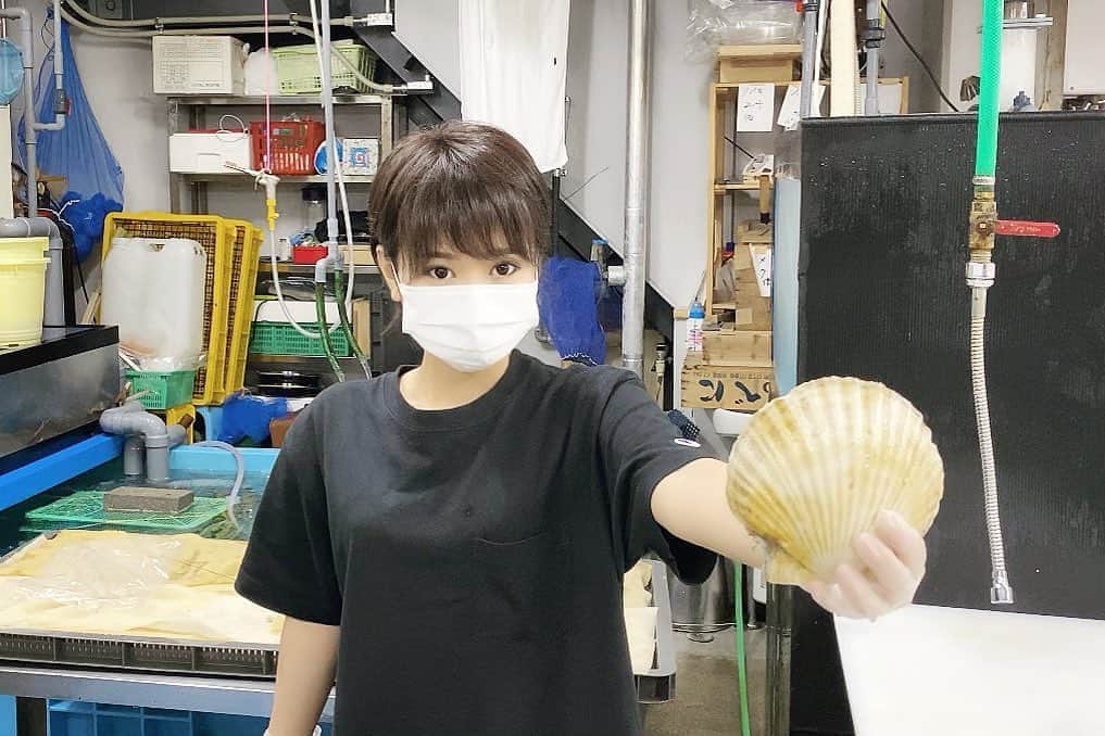 スーパーナブラのインスタグラム：「． ． 今夜は北海道のホタテです✨ 京都の中央市場に入ったものの中から 一番でかいのを買わせていただきました 400円✨ ． ． 🐟お知らせ🐟 YouTubeの最新動画 本日18時〜19時までに投稿予定です😊 北海道で無料駐車場にしようとしてる 合計2ヘクタール(6050坪)の土地公開✨ ． 🐟お知らせ🐟 【今夜21時00分】 スーパーナブラチャンネルで 生配信ライブをさせていただきます✨ ． ． #伊勢#伊勢エビ#三重#刺身 #飛行機#温泉#旅館#ホテル#和食#鮭 #グルメ#露天風呂#足湯#GW#車中泊 #景色#釣り#ブラックバス#バス釣り #発見#おでかけ#女子旅#ツーリング #自然#釣り#釣りガール#YouTube #旅行好きな人と繋がりたい」