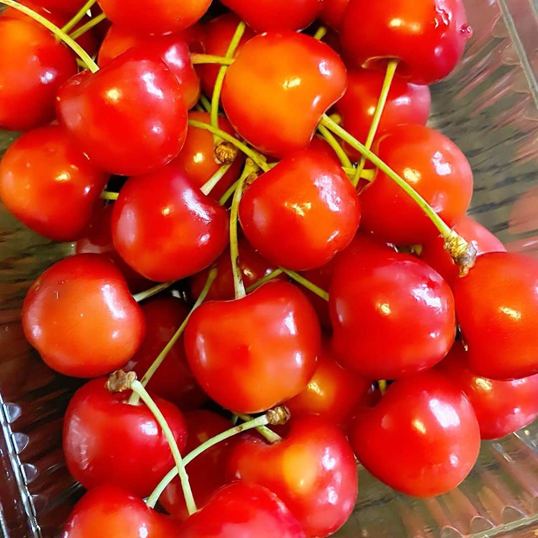 Momoeのインスタグラム：「. .  パパからさくらんぼ🍒🥺💓 ありがとうございます🙇‍♀️🙇‍♀️💓 . みよがさくらんぼ めちゃくちゃ気に入ってる☺️笑 （たまに種飲む） . . #happy #家事 #育児 #family #家族 #boy #smile #男の子 #息子 #code #love #lucky #kids #子供 #thankyou #宝物 #ベビー #fashion #follow #心 #縁 #パパ #ママ #家族写真 #男の子ママ #赤ちゃん写真 #photo #子育て #1歳 #flower」