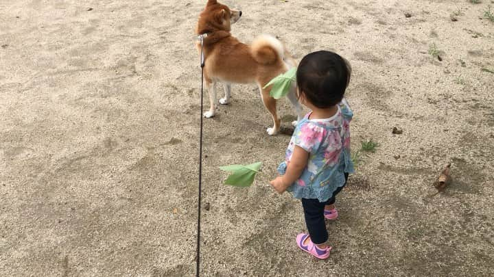 舞名里音のインスタグラム