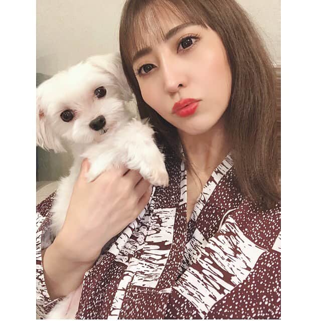 のインスタグラム：「1泊2日で箱根温泉♨️✨ わんちゃんも一緒に泊まれる旅館です🐩💓 久しぶりにフラゃんと旅行に行けて幸せ🥰❤️ #箱根 #箱根温泉 #レジーナリゾート箱根 #レジーナリゾート箱根仙石原 #愛犬と泊まれる宿 #癒された #癒された #ハッピー💕💕」