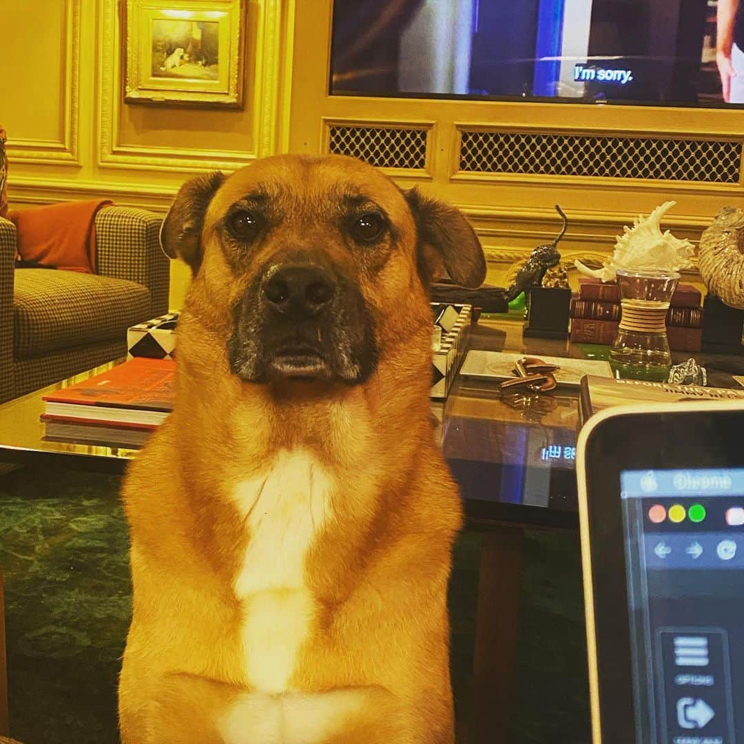 クナル・ネイヤーのインスタグラム：「Erm... food? #bobafett」