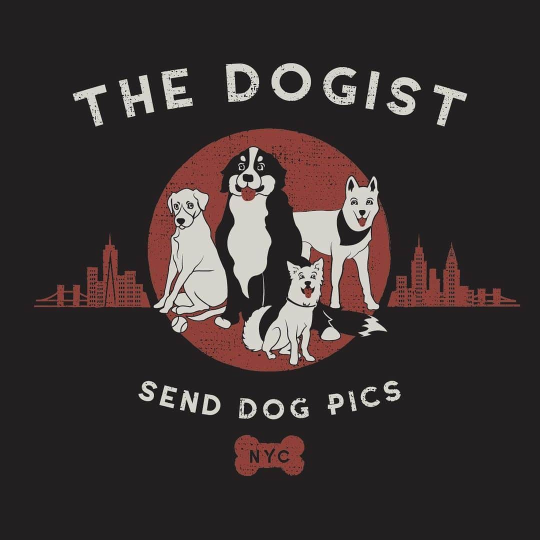 The Dogistさんのインスタグラム写真 - (The DogistInstagram)「ANNOUNCEMENT: We will be making a DOGIST DOGS T-SHIRT! But we need your help. We asked six artists to create illustrations featuring all four pups, and now YOU will pick the winning design! We’ll all vote on the design and then the shirt’s color. All the entries are included above in no particular order. Voting will begin TOMORROW! Who’s ready to rock a brand new #TeamDogist shirt? 🙋‍ . Special thanks to our amazing artists: @izzyyyydoesart, @alexislyneillustrations, @strederlines, @eryportraits, @sophiespetportraits and @ehuber123!」7月28日 6時02分 - thedogist