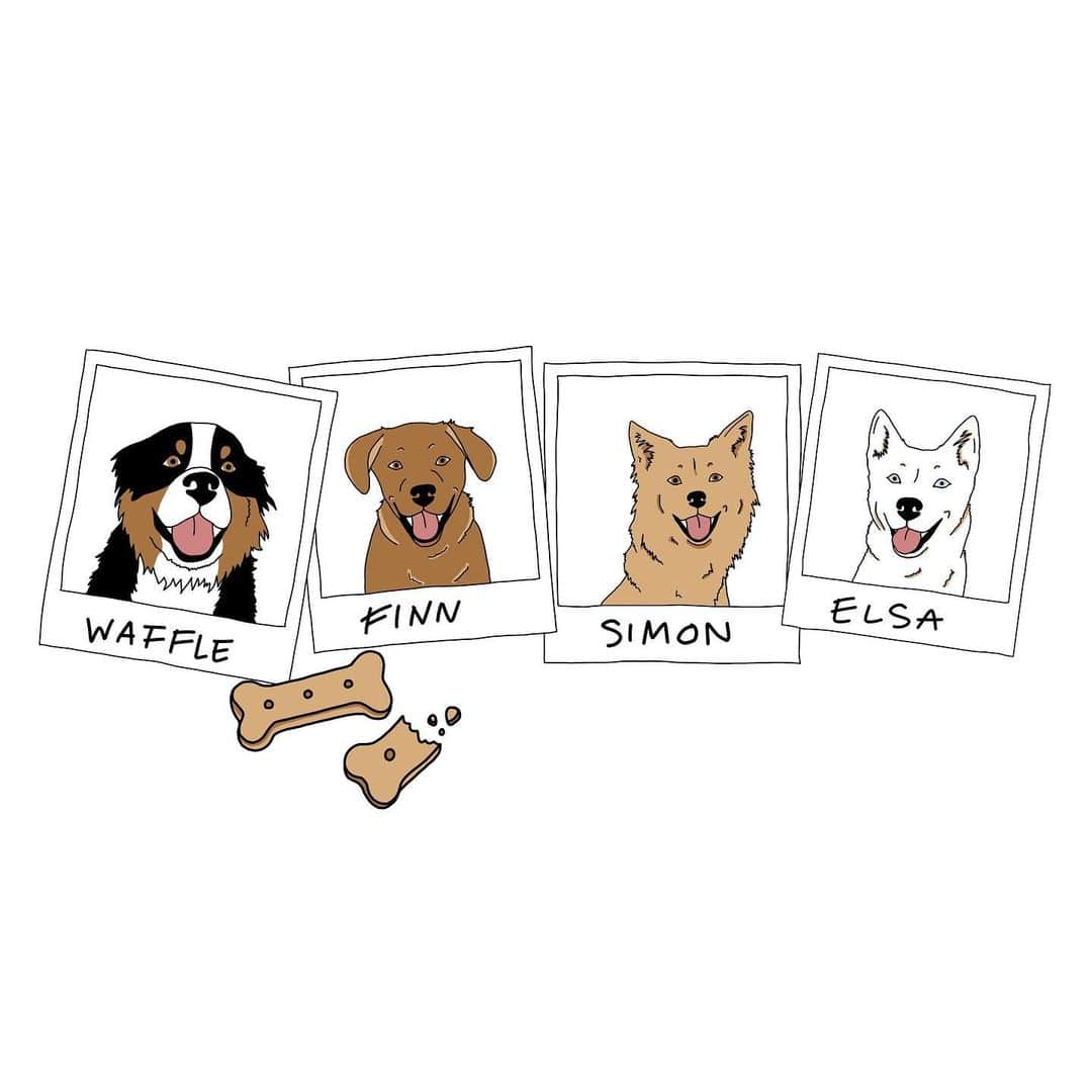 The Dogistさんのインスタグラム写真 - (The DogistInstagram)「ANNOUNCEMENT: We will be making a DOGIST DOGS T-SHIRT! But we need your help. We asked six artists to create illustrations featuring all four pups, and now YOU will pick the winning design! We’ll all vote on the design and then the shirt’s color. All the entries are included above in no particular order. Voting will begin TOMORROW! Who’s ready to rock a brand new #TeamDogist shirt? 🙋‍ . Special thanks to our amazing artists: @izzyyyydoesart, @alexislyneillustrations, @strederlines, @eryportraits, @sophiespetportraits and @ehuber123!」7月28日 6時02分 - thedogist