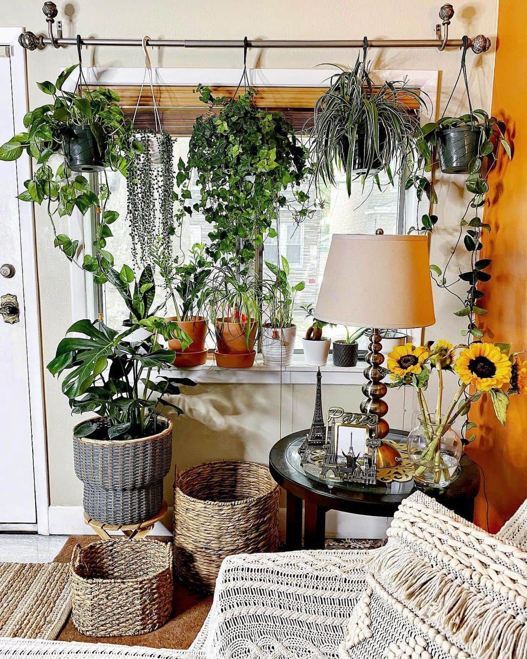 HomeGoodsさんのインスタグラム写真 - (HomeGoodsInstagram)「How many plants is too many? Asking for a friend 🌻🌿 (📸: @kathyflavy)」7月28日 6時00分 - homegoods