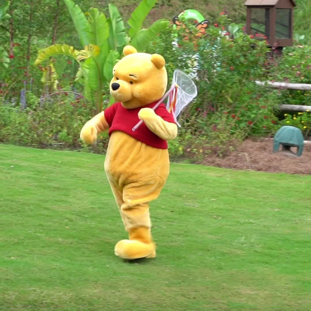 Walt Disney Worldのインスタグラム：「You can spot this silly old bear 🍯 frolicking around EPCOT just trying to catch a butterfly. 🦋」