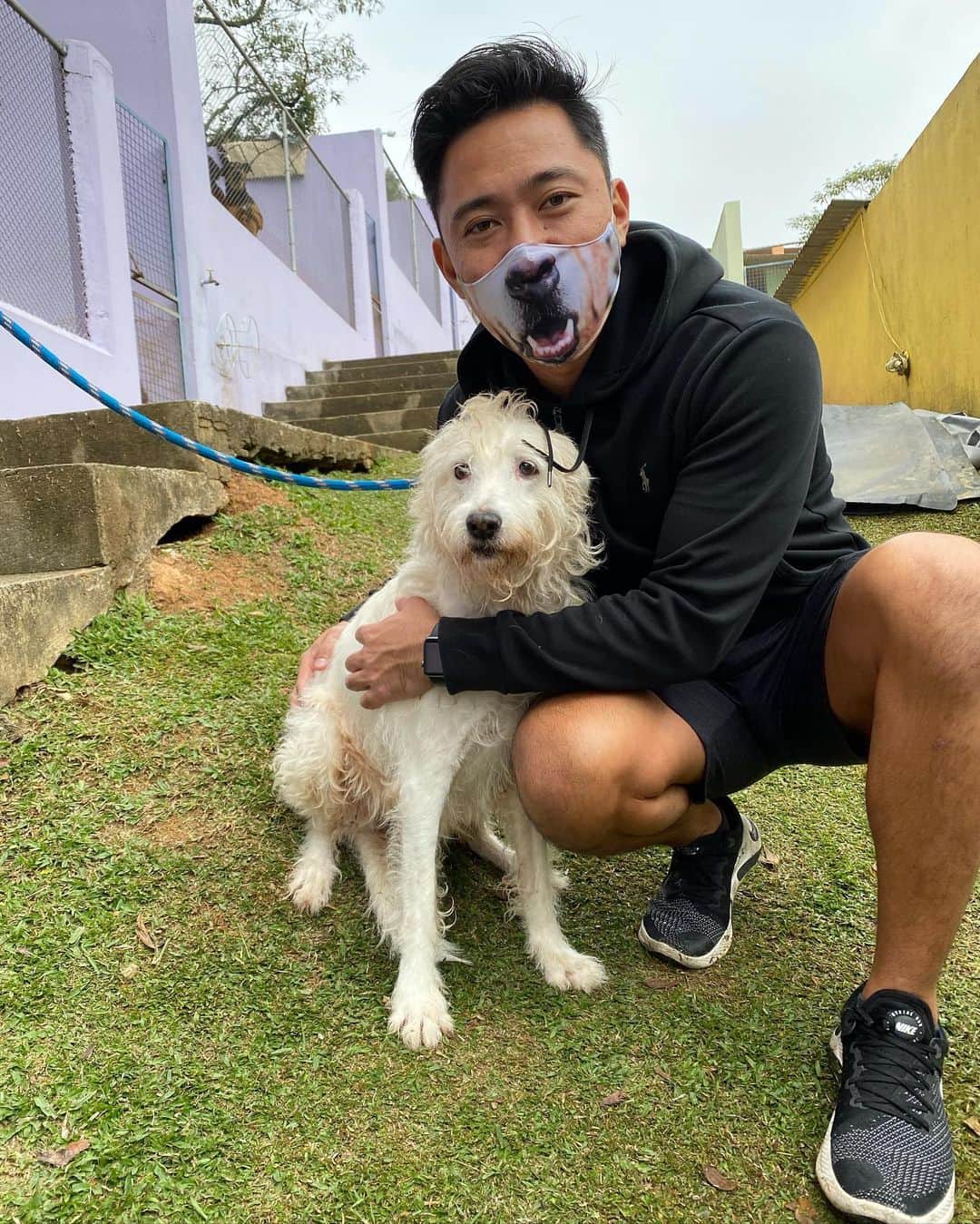 Bobさんのインスタグラム写真 - (BobInstagram)「Pessoal olha que campanha legal que a @msdpetstar lançou , chama-se call de adoção , feita junto com a ONG @clubedosviralatas , lá você pode baixar o fundo de tela com cães que estão na campanha de adoção e usar em suas vídeo chamadas pra estimular a adoção e até mesmo passar essa informação a alguém que estava pensando em adotar e não sabia onde achar um aumiguinho. Papito foi conhecer a ONG pessoalmente e se espantou com a quantidade de cães , por volta de 500 aumigos estão à espera de um lar, que tal ajudarmos essa galera a encontrar uma família ? Entre do site calldeadocao.com.br e conheça mais sobre o projeto🙏 #msdpetstar #bravecto #12semanas #calldeadocao #adote #compartilhe #clubedosviralatas #ong #campanhadeadocao #doglovers #petlovers」7月28日 6時46分 - bob_marley_goldenretriever