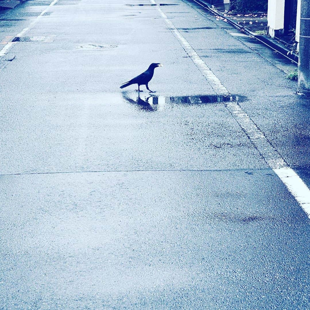 中野敬久のインスタグラム