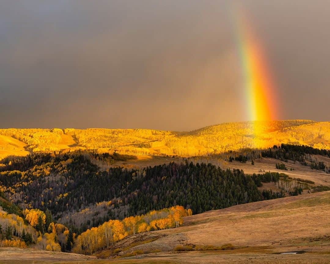 National Geographic Travelさんのインスタグラム写真 - (National Geographic TravelInstagram)「Photo by @stephen_matera  An intense afternoon rainbow appears in the mountains near Telluride, Colorado. Late September and early October bring a blaze of autumn colors and the occasional rainbow to the San Juan Mountains of southern Colorado. Follow me @stephen_matera for more images like this from Colorado and around the world. #autumn #aspen #telluride」7月28日 13時09分 - natgeotravel