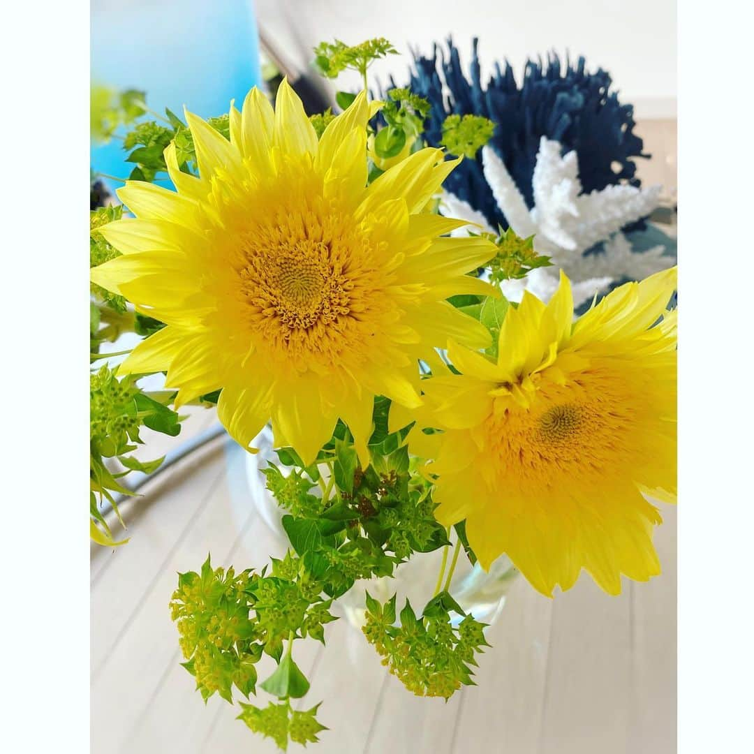 アンミカさんのインスタグラム写真 - (アンミカInstagram)「今、家の花はダリア、トルコキキョウ、ひまわり🌻 。 連日の雨や☔️、日常での愛別離苦から来る寂しさも、優しい花が癒してくれる💐。 。 #植物は見返りを期待しない尊敬すべき存在🌱 #血は癒しのアロマになり身は栄養ある野菜となり枯れてもなお漢方として人間の薬になり癒してくれる🌱 #呼吸するだけで酸素を出し地球を癒してくれる🌱 #植物や花のある生活は心満たされる🌱 #今日も上を向いて歩こう☺️ #10時からはQVCにてエスプリーナのコアな商品ボディソープを発売します！ #20時からは59分まで関西テレビのキメツケに出演します❣️」7月28日 8時28分 - ahnmikaofficial