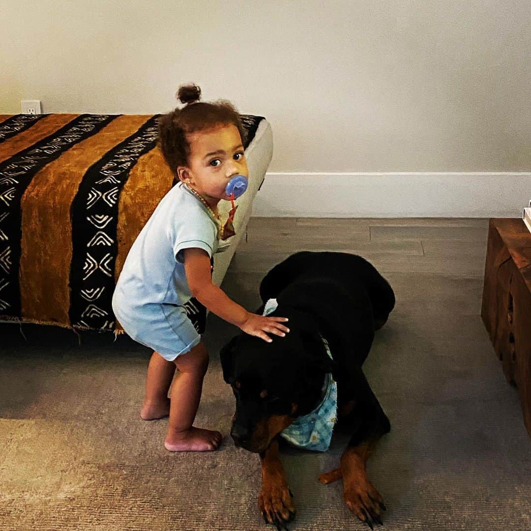 カルロス・ブーザーのインスタグラム：「She Always Taking Care Of Bella 🐶... #HOLDAT 🖤」
