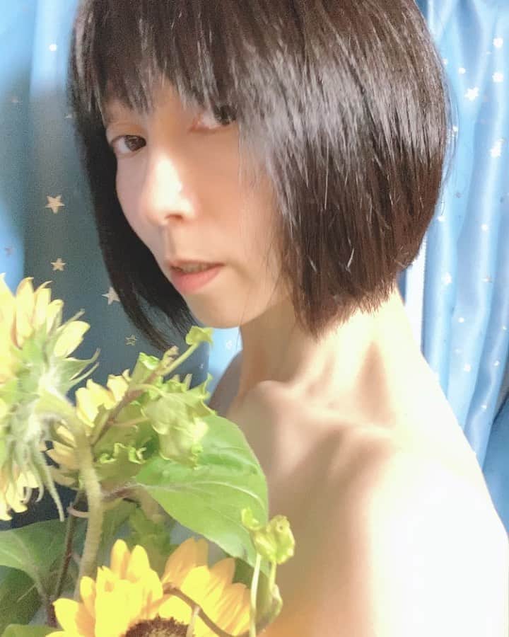 井川ちさと（新尾きり子）のインスタグラム：「🌿 🕊 ☀️」