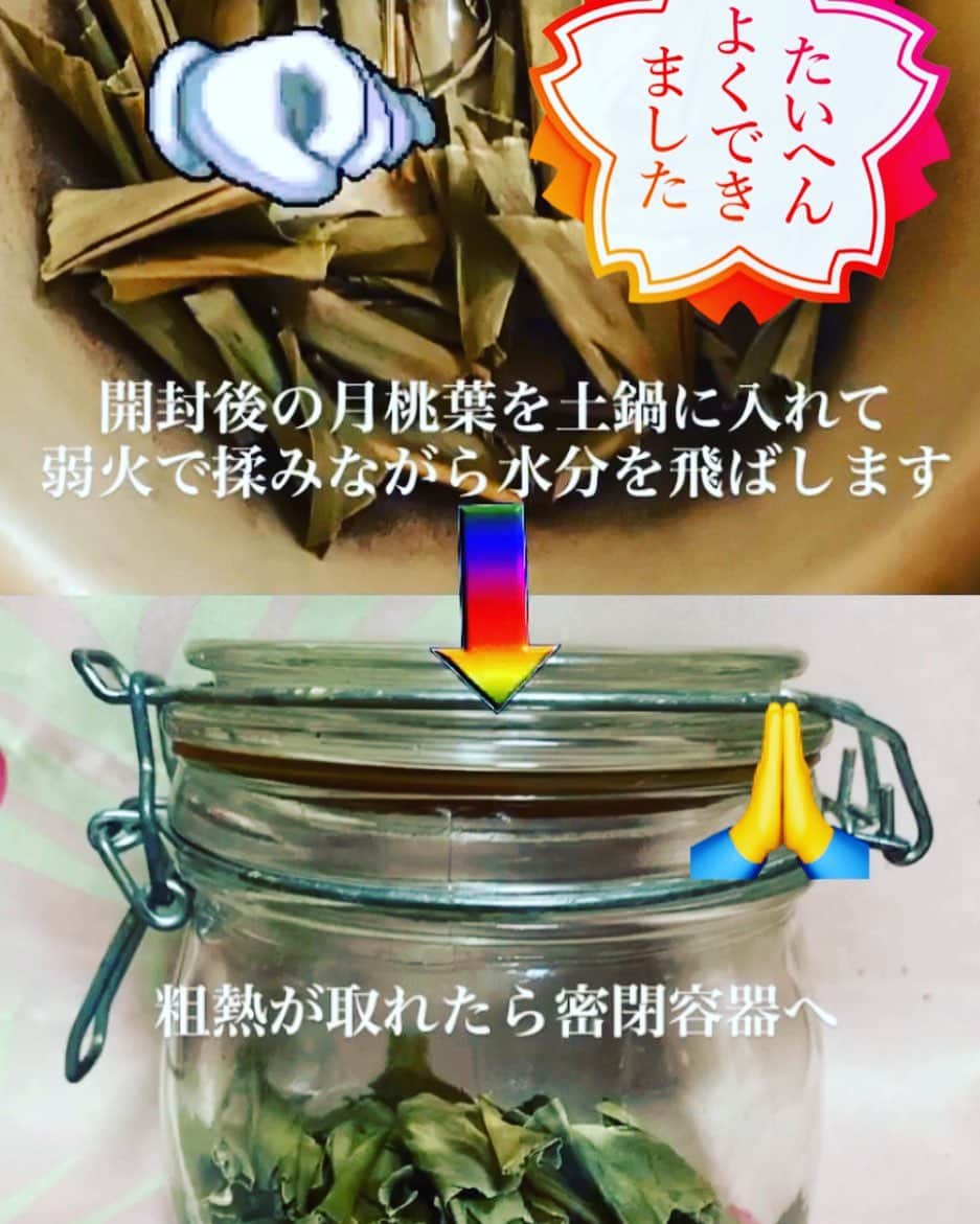 MOOMINのインスタグラム：「＊月桃の葉の鮮度を保つためのご注意＊  1. 未開封でも高温多湿の場所は避けてください  2. 冷蔵、冷凍でも保存は可能ですが、開封する際には常温に戻してから開封してください( 温度差によって結露が生じてしまい葉が湿気を帯びカビを発生させてしまう原因となるおそれがあります。)  3. 冷蔵庫での保存は、庫内の臭いを葉が吸収してしまうおそれがあります。  4. 開封後は特にカビ発生の原因になる高温多湿の場所を避けて保管してください、  5. 月桃の強い生命力や独特の香りを感じていただきたく自然乾燥にこだわって仕上げております。商品到着後は、出来るだけ少ない日数での消費をオススメいたします。  #感謝 #月桃 #ありがとう #鮮度を保つためのご注意 #日々精進」
