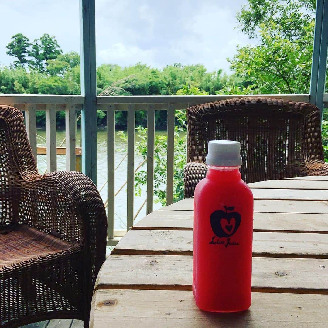 のインスタグラム：「昨日は遠出のロケのお供に　@livejuice_japan  のコールドプレスジュースを。保冷バッグに保冷剤をたっぷり入れて冷たさをキープ。その代わり水は常温で。 日差しにあたってもビタミン補給できて安心。自然の中で飲む野菜やフルーツそのままのフレッシュな味は格別。 ミニクレンズだから、あっという間。　  #コールドプレスジュース #ミニクレンズ」