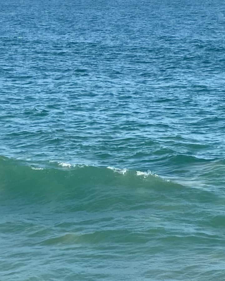 レオナ・ルイスのインスタグラム：「Special 1 year anniversary gift from nature 🙏🏽✨🐬 @dennisjauch」