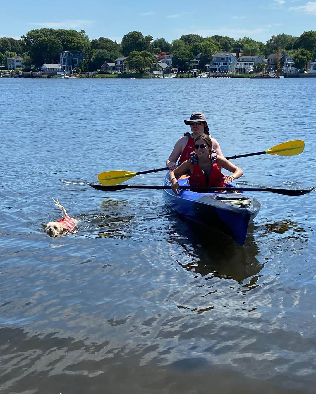 マリッサ・キャステリさんのインスタグラム写真 - (マリッサ・キャステリInstagram)「Mosby loves the water so much that his tail was wagging when he swam in! 🐶 . . . . . . *#kayaking #shichonsofinstagram #adventurepup #rhodeisland」7月28日 10時23分 - marissacastelli