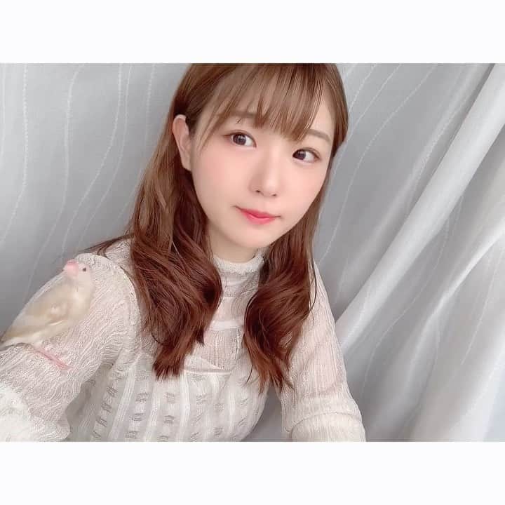 長谷川かすみのインスタグラム：「マヨと私。 ノールックで手に乗せてるようですが、カメラで見ています👌  #文鳥のいる暮らし #シナモン文鳥 #かみかみ期 #手乗り文鳥」