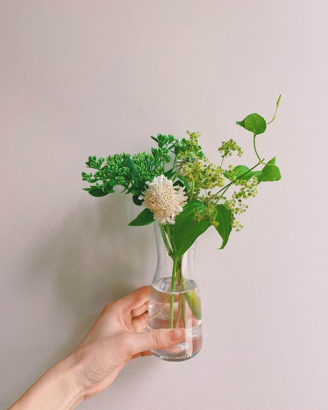 榊原伶奈のインスタグラム：「ここで花頼むの3回目🌻  クーポンコード：S5TB  #花のある暮らし #ブーケ　 #自粛生活 #在宅勤務 #テレワーク　#花 #flower #花の定期便　#flower_is #flowerのある暮らし」