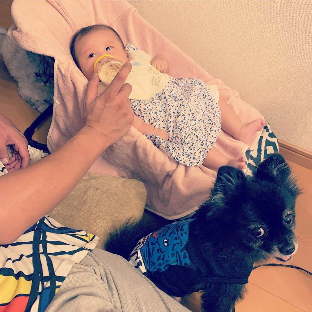 SATOKOさんのインスタグラム写真 - (SATOKOInstagram)「心霊写真w #背後 #お気づき頂けただろうか  #babyanddogandcat #赤ちゃんと犬と猫 #みんなでミルクあげてる」7月28日 21時36分 - fc_satoko