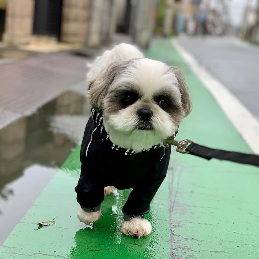 いくらのインスタグラム