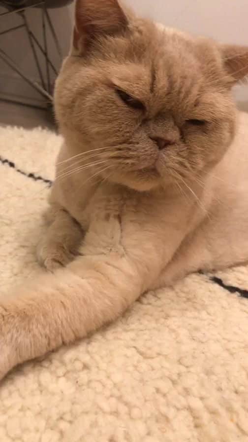 濱中鮎子のインスタグラム
