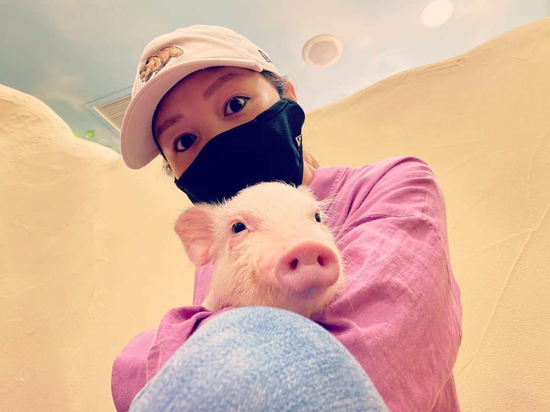 木村真野・紗野さんのインスタグラム写真 - (木村真野・紗野Instagram)「マイクロブタ🐖さんに会いに行った時の📷.(個室は特別に抱っこが出来る🐽). ずーっとブッブって言ってて可愛かった♥️.今日マツコの知らない世界に出てたよー🐖🐖✨.  #マイクロブタ　#mipigcafe #micropig #可愛過ぎた　#マツコの知らない世界　#可愛い　#🐖　#ぶた　#pig #saya」7月28日 22時10分 - mayasaya_kimura