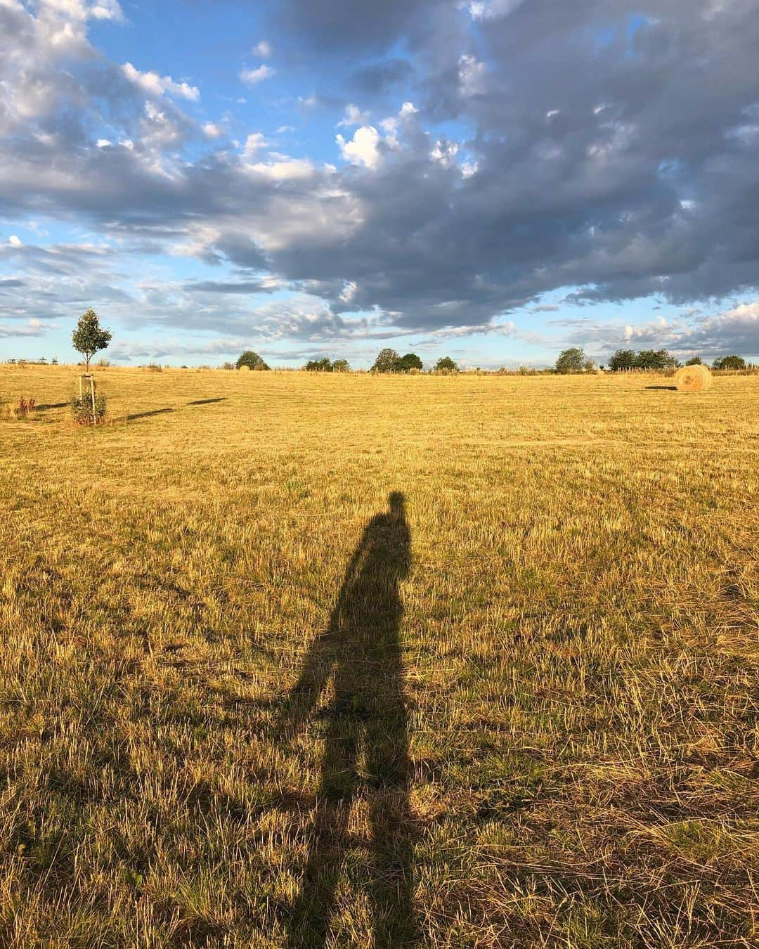 サンドラ・ガルさんのインスタグラム写真 - (サンドラ・ガルInstagram)「Good morning ☀️So grateful for early morning walks and grounding on Mother Earth 🌍 #earthvibes」7月28日 14時26分 - thesandragal