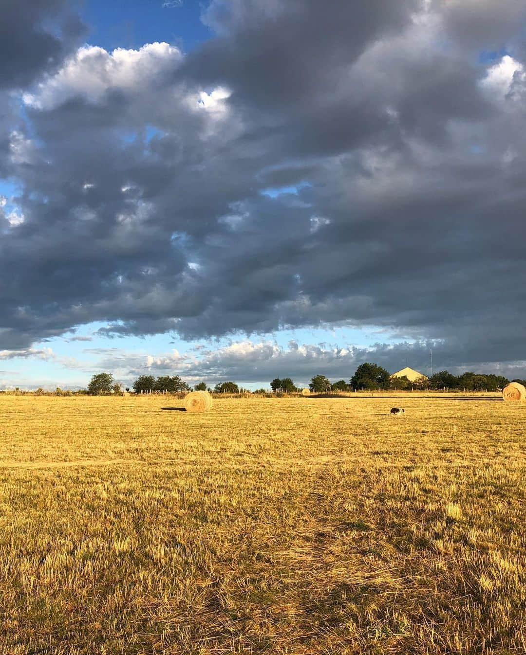 サンドラ・ガルさんのインスタグラム写真 - (サンドラ・ガルInstagram)「Good morning ☀️So grateful for early morning walks and grounding on Mother Earth 🌍 #earthvibes」7月28日 14時26分 - thesandragal