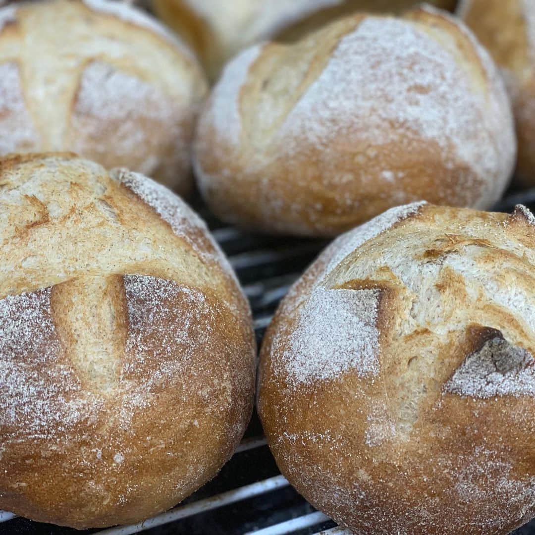 魔女菅原のグルメインスタ