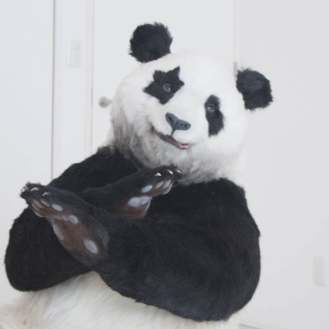 星星（セイセイ）さんのインスタグラム写真 - (星星（セイセイ）Instagram)「💃✨ #縄跳びダンス #見てくれた？ #上手でしょ？ #ペロリ😋  . きょうの #ベラベラENGLISHは ...💯 🌟take a bath♨️ 🌟お風呂に入る♨️ . #星星 #パンダ #panda #pandagram #パンダ好きな人と繋がりたい #ZIP!」7月28日 14時53分 - seisei_panda