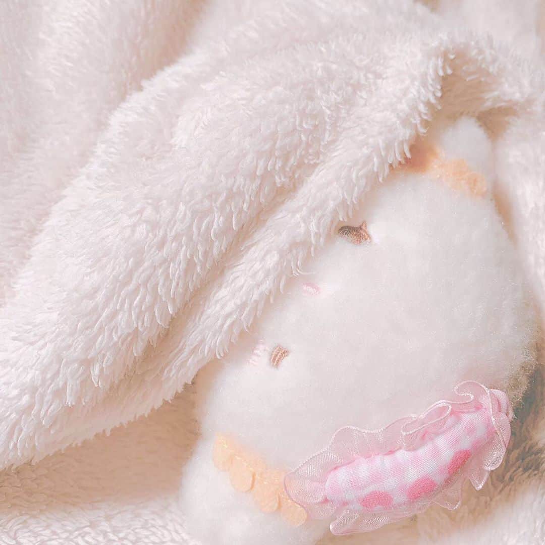 こぎみゅん（サンリオ）のインスタグラム：「むにゃ･･みゅん･･ おひるご飯食べて、なんだか眠くなってきたみゅん･･おひるね･･ すやーみゅ･･zz  #サンリオ #キャラクター #小麦粉の妖精 #こぎみゅん #sanrio #character #cogimyun」