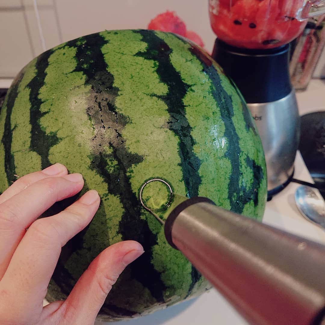 真鍋摩緒さんのインスタグラム写真 - (真鍋摩緒Instagram)「先週日曜日に いよいよ解禁してしまった… スイカジュースサーバー！🍉  その名も #watermelonkeg keg ！！  みんなが一度は憧れる スイカに蛇口つけちゃう あれです😍 ビアタップに近いけどね！🍺  しっかりしたタイプが良くて アメリカから取り寄せました🙌  シャンパングラスですが 100％スイカジュースです😂🍉  絞りたてスイカジュースが美味しすぎて お店やりたいくらい😍 スイカは水分が９０％な上に ビタミン、ミネラルが豊富で天然のスポーツドリンクと言われる程、熱中症予防効果が高いので  蒸し暑い梅雨時期も、来週以降の梅雨明けも 熱中症対策だ！！🍉  長野県は松本ハイランドのスイカは ジューシーな果肉にサラリとした上品な甘味で 生搾りジュースに最高でした！😌 シャリ感も強いので、そのまま食べる分も確保しましたけどね😍  ちなみに冷凍したレモンカットが めちゃめちゃスイカジュースと相性いいので 是非試して欲しいです！😍  カットスイカに レモン絞っても美味しいし ライム絞っても更に美味しいんだけどね！  息子も大喜びで出して飲み出して飲みを繰り返してました！😂  余ったジュースでスイカシャーベットも仕込んだので そちらはまた後日🙋🍉✨ あとはジップロックで冷凍しておくと スイカカクテルも作り放題なんだな😍🍸️  夢広がります🍉  さぁ！スイカ大玉が抽選で50名に当たる スイカ倶楽部2020年企画「スイカ産地リレー」も いよいよラスト！山形県へバトンが渡りました！ @suikaclub  ラストチャンス！ご参加お待ちしてます❤️  #スイカチャレンジ #スイ倶楽部 #長野スイカ #スイカジュース #熱中症予防 #スイカ #すいか #watermelon #スイカ親善大使 #スイカ産地リレー #山形スイカ #ブレンダーは #ラッセルホブス」7月28日 15時16分 - maomanabe