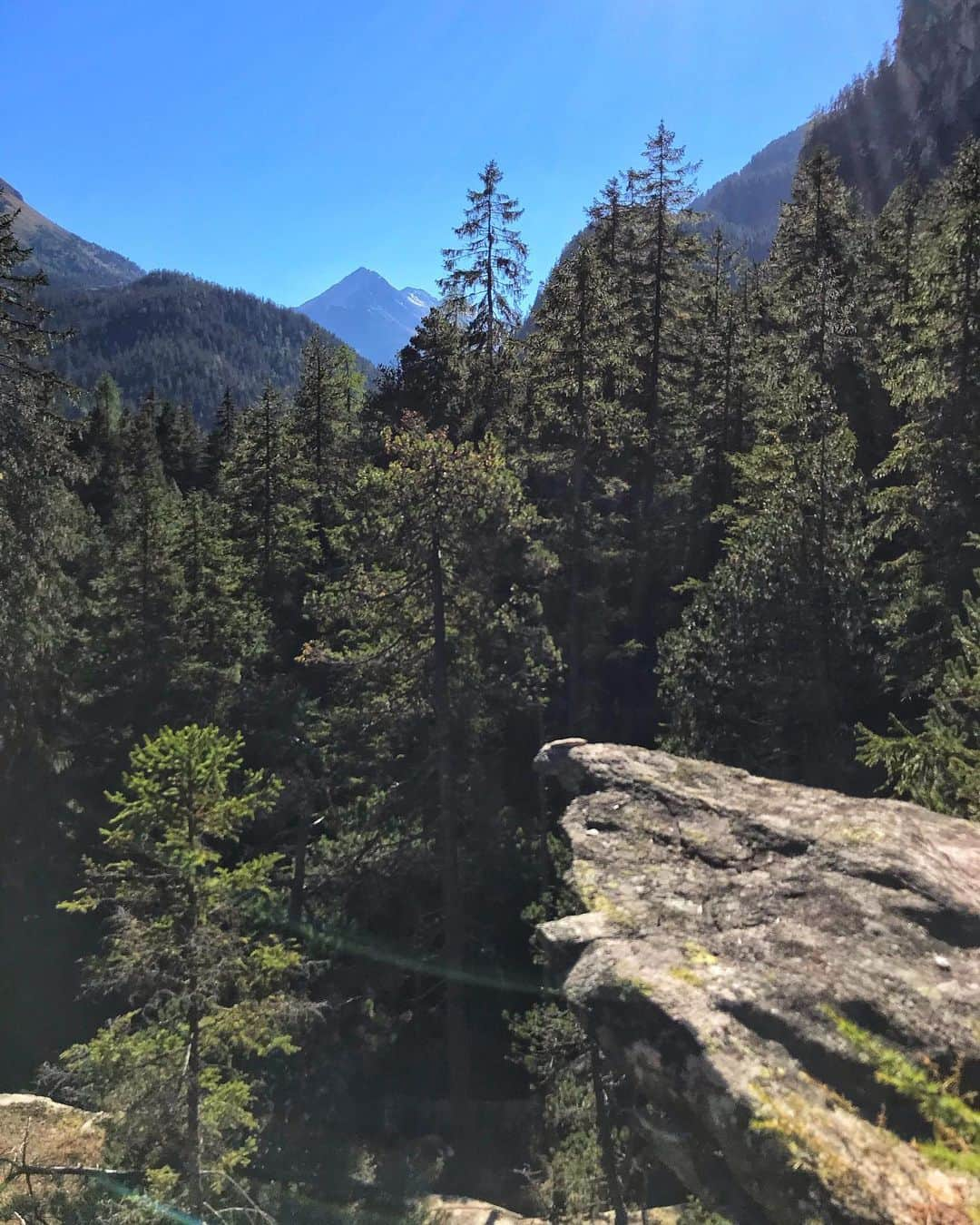 ナーレ・フッカタイバルさんのインスタグラム写真 - (ナーレ・フッカタイバルInstagram)「Magic Wood needs a little help! Magic wood is one of the most widely known international bouldering destinations and since the early days the Saluz family has been running the guesthouse and the campground and been the heart of the climbing community, advocating for climbers at every turn.  Now their public utility contract has been abruptly cancelled and a change of management could jeopardize access and change the climbing community altogether. Certainly not something any climber wants to see. So please take a minute to sign this petition (link in bio) to show the local administration how vital the current management is to the climbing community worldwide.」7月28日 15時33分 - nalle_hukkataival