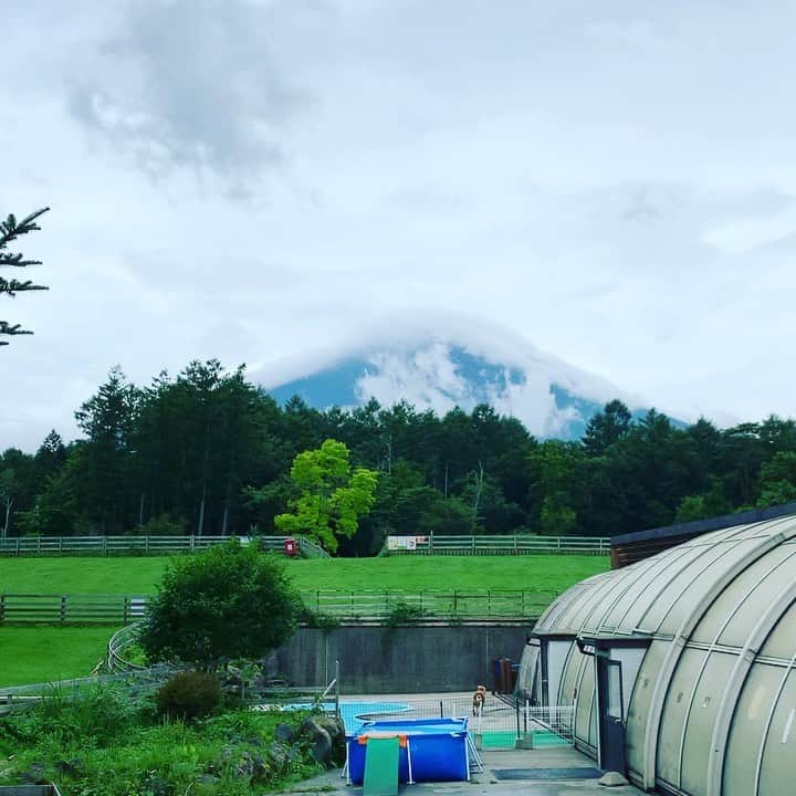 金村義明のグルメインスタ
