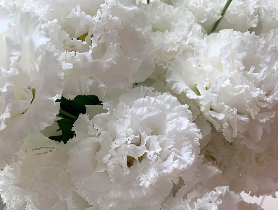 美香さんのインスタグラム写真 - (美香Instagram)「花はなぜ美しいか。 一筋の気持ちで咲いているからだ（八木重吉）  はぁ♡ しびれる。 どこに飾ろうかな☺︎☺︎☺︎」7月28日 15時59分 - mikaofficial99