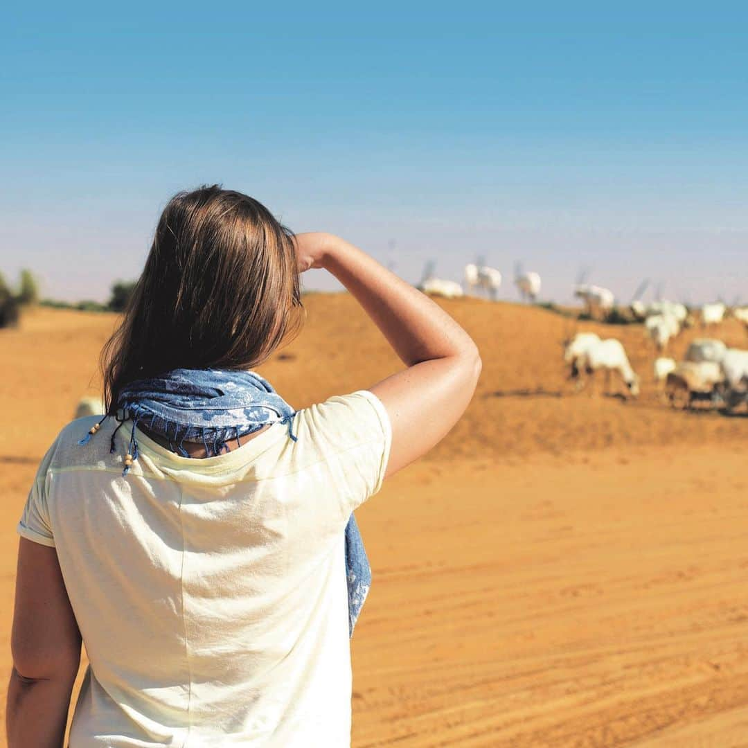 エミレーツ航空さんのインスタグラム写真 - (エミレーツ航空Instagram)「We are celebrating World Nature Conservation Day today by marking 20 years of partnership with the Dubai Desert Conservation Reserve (DDCR) and the release of DDCR’s first annual report.  The Reserve covers an area of 225 square kilometres and makes up 5% of the Emirate of Dubai. A small area of the Reserve is allotted to tourism activity under careful controls and monitoring, and in the past year, it has attracted over 238,000 visitors.  Under the supervision of professional guides, visitors from around the world come to experience spectacular dune drives, desert safaris and traditional Arabian experiences. The guides also help visitors to appreciate and learn more about the desert’s natural habitat, heritage and wildlife, and the importance of conservation.  The Reserve also works closely with local and international experts to protect and reintroduce indigenous species to the UAE.」7月28日 16時01分 - emirates