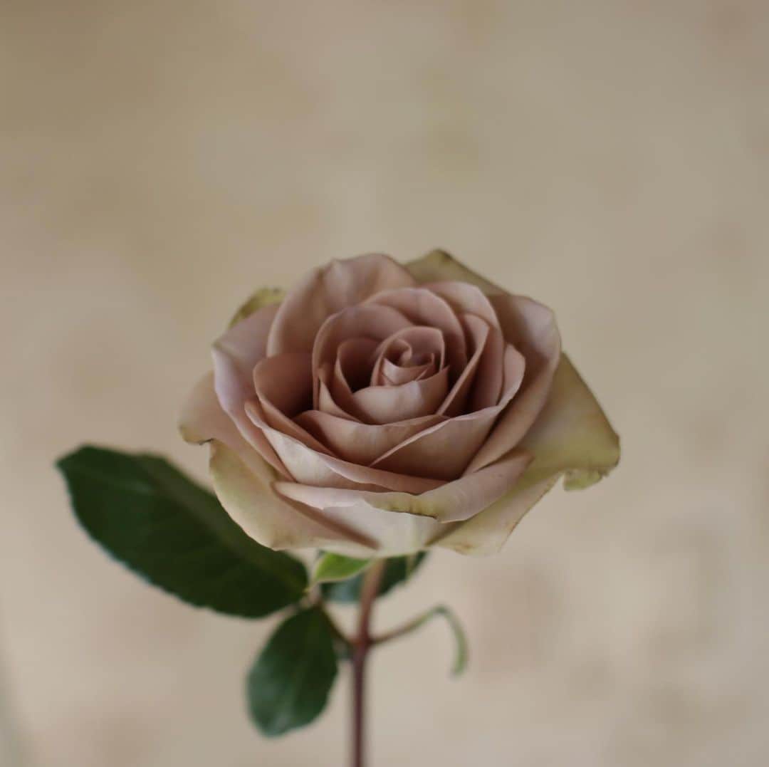 플로리스트 김애진(케이라플레르)のインスタグラム
