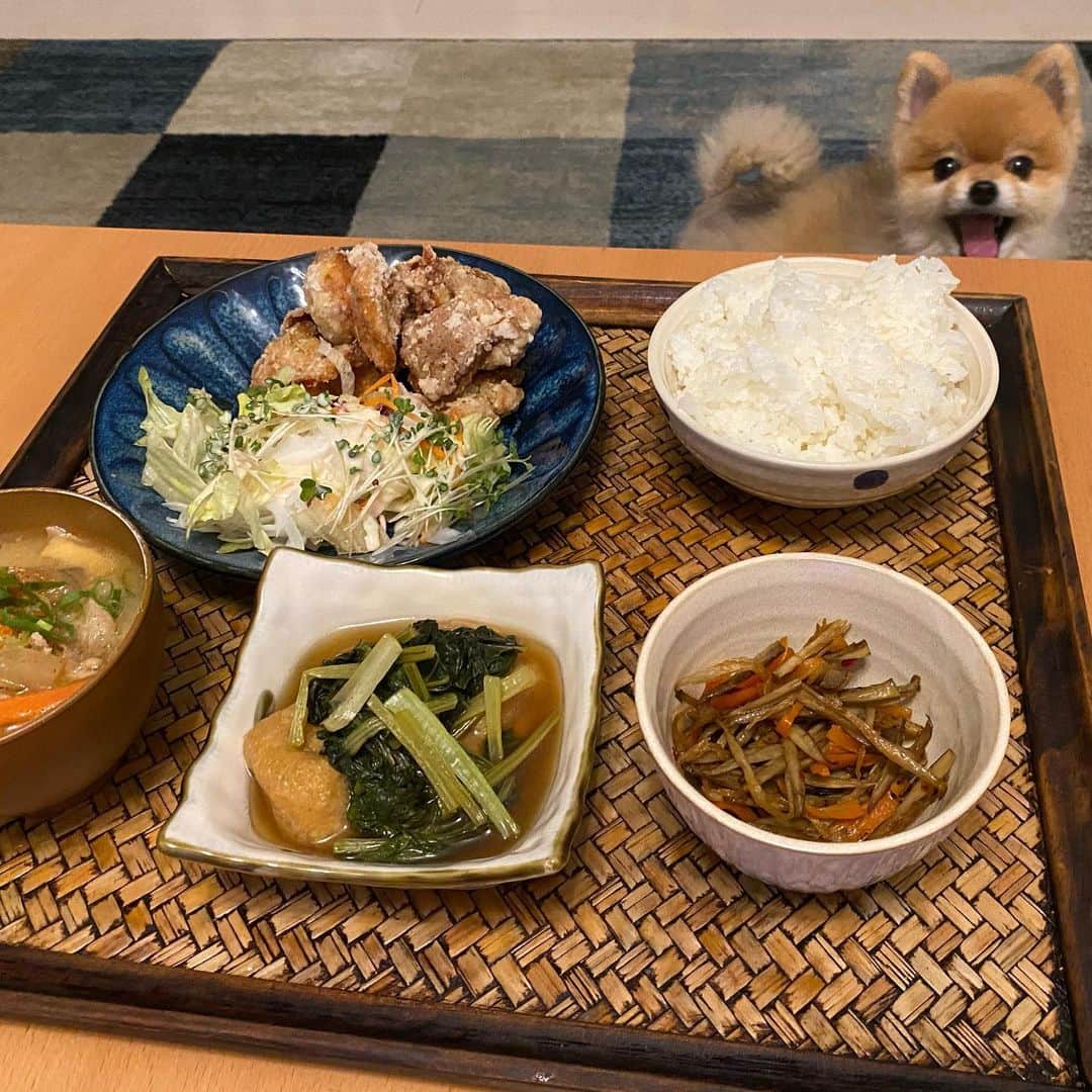 RIO POMEのインスタグラム：「ぼくのカラアゲは？🍗  カラアゲは食べれないよ😆  今日はちょっと頑張って豚汁🐷も作りました✨  そしてカラアゲは塩と生姜とお酒とごま油と柚子胡椒(多め)を漬け込んでます💕  個人的にお醤油より塩のカラアゲの方が焦げにくいし作りやすいから好きです☺️  目分量でもやっと塩加減が大丈夫になってきた気がします✌️  なんとなく記念に🤗  #ポメラニアン #pomeranian  #犬 #dog #dogstagram#doglover #愛犬 #わんこ #ポメラニアン大好き #ポメラニアンが世界一可愛い #pom #ぽめらにあん #ポメ#pomeraniansofinstagram  #pomeranianlove #ふわもこ部 #いぬバカ部 #癒しわんこ#instapic#pomstagram #puppy #dogsofinstagram #cute#cutedog」