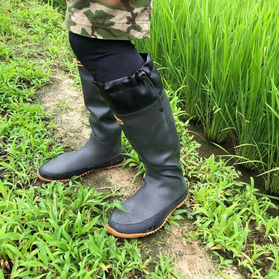 HASSYさんのインスタグラム写真 - (HASSYInstagram)「. . 【宣伝です】 Megabassの「mobile flex boots(モバイルフレックスブーツ」が調子良い🥾 . ソールは足袋を分厚くした感じ。 雨後などの草も全く気にならなずズカズカとランガンできる👍折り畳めて収納もgood。 履き続けるとムレるので、靴の中に入れる乾燥剤は、持っておいた方がいいです。  またYouTubeにでもあげます🙌  #Megabass #メガバス  #モバイルフレックスブーツ  #ブーツ #雨  #折り畳めるブーツ #ええやんかぁ」7月28日 17時14分 - hassy_upsetter