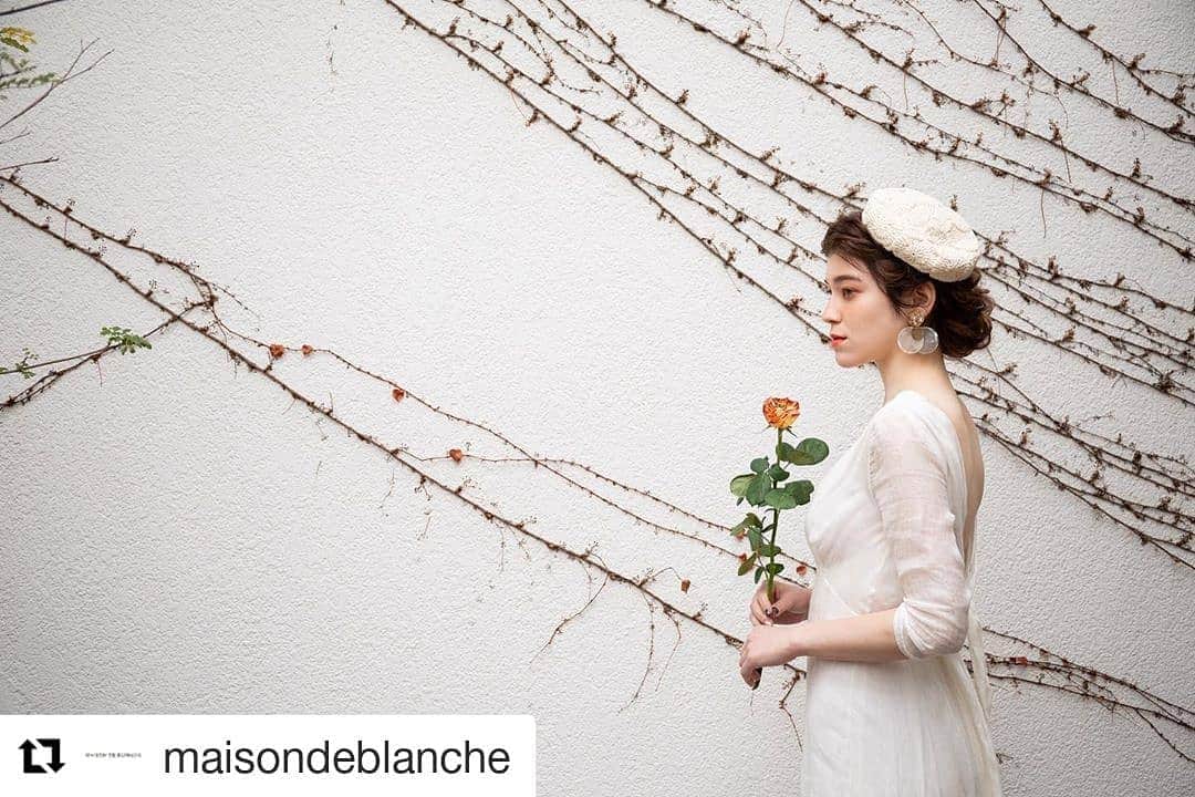 メゾン エルミタージュのグルメインスタ