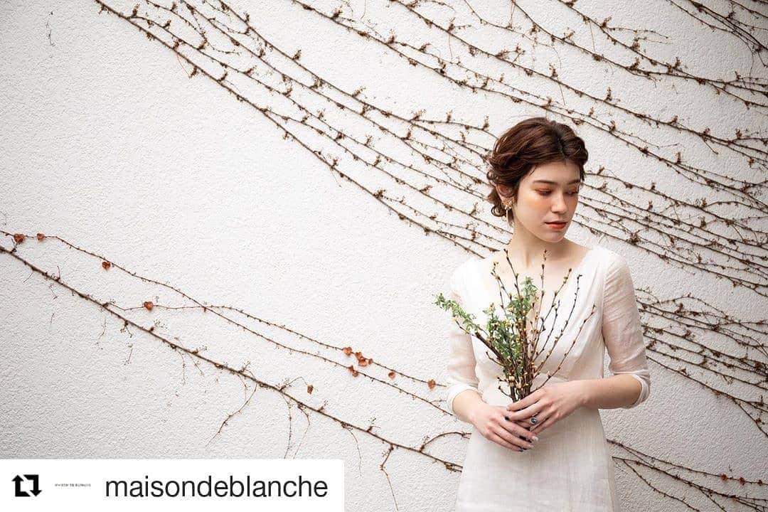 メゾン エルミタージュのグルメインスタ