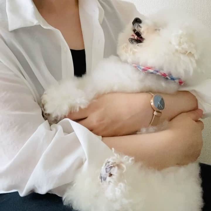 のインスタグラム：「. . ただ、ただ Love Loveしてるだけの動画❤️ . 私のキモい『ちゅ〜💋』 という声が入ってるので音声はOFFです🤣🤣 . . . @mavenjapan  さんの シンプルで素敵な時計⌚️✨ . 10%オフクーポン👉erniegu . . #mavenwatches  #マベン #マベンウォッチズ  #腕時計#時計#手元倶楽部  . . .」